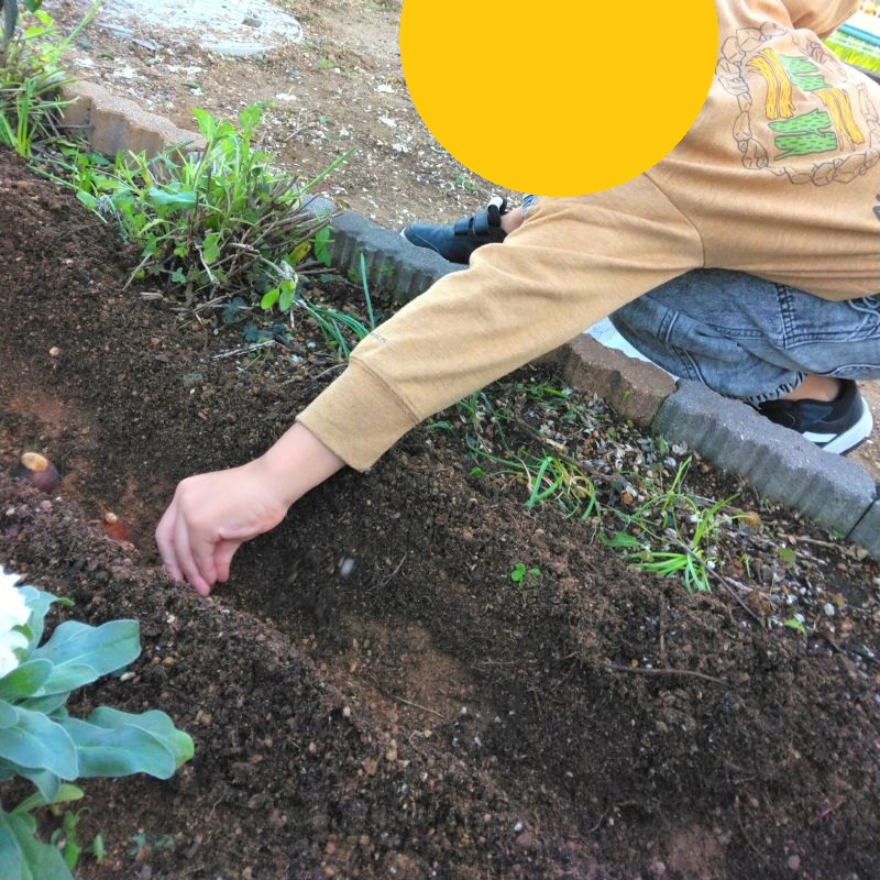 ③アイリスクラブ泉佐野_20251213