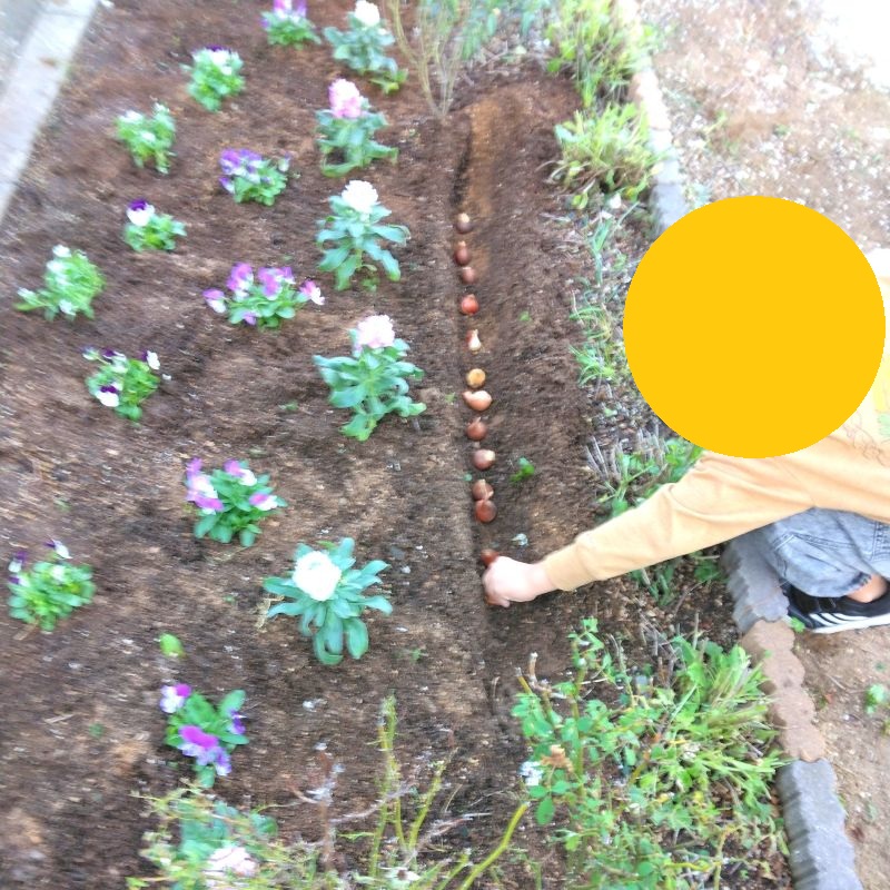 ④アイリスクラブ泉佐野_20251213