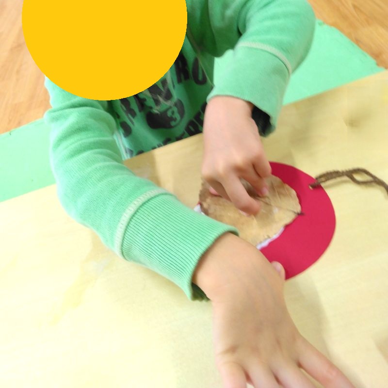 アイリスクラブ泉佐野_20251215③